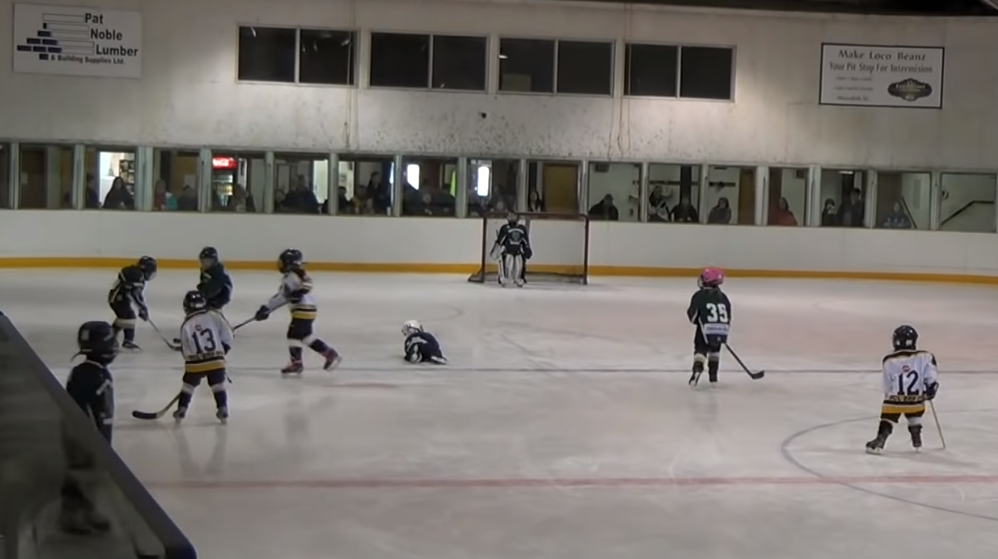 tyke hockey fall