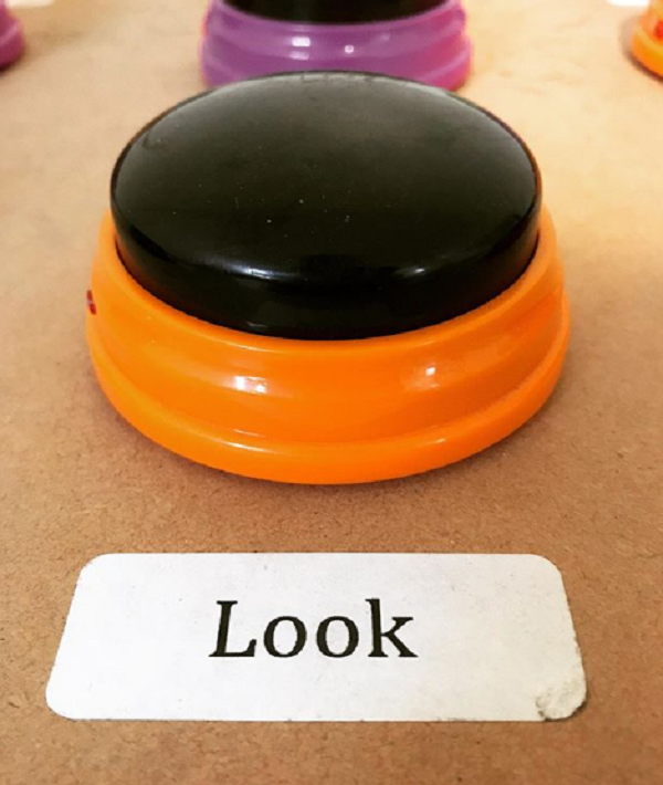 look button