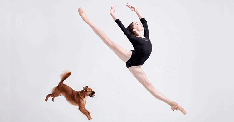 ballet dogs