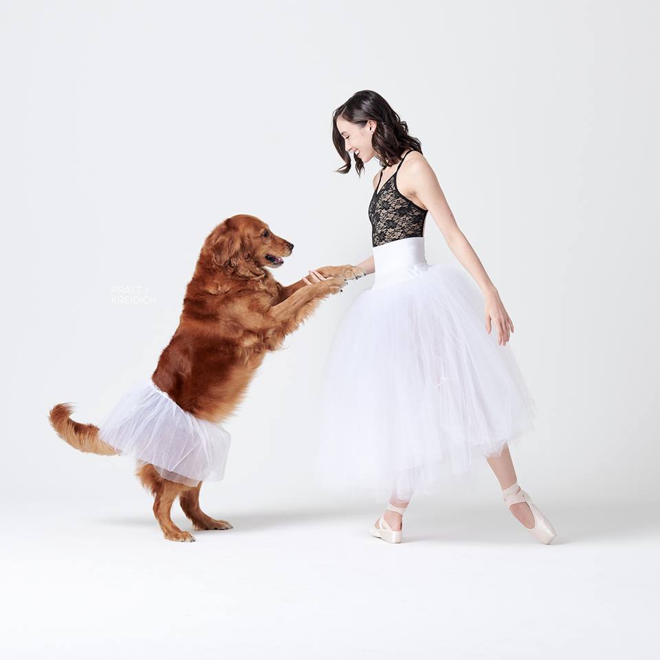 dancers and dogs photo series