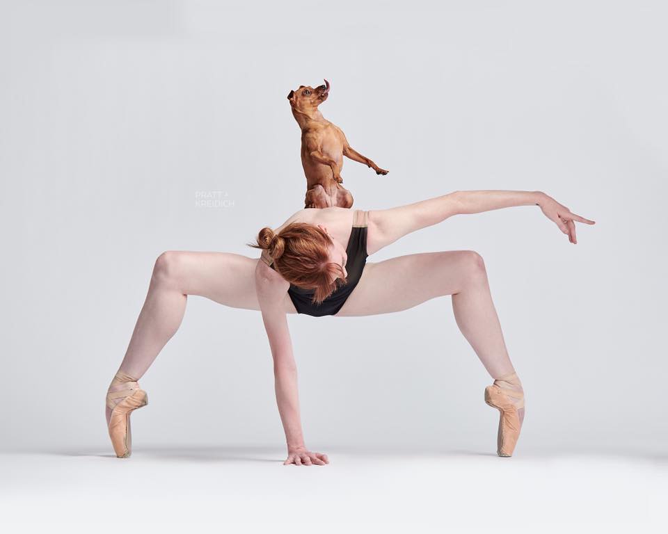 dancers and dogs photo series