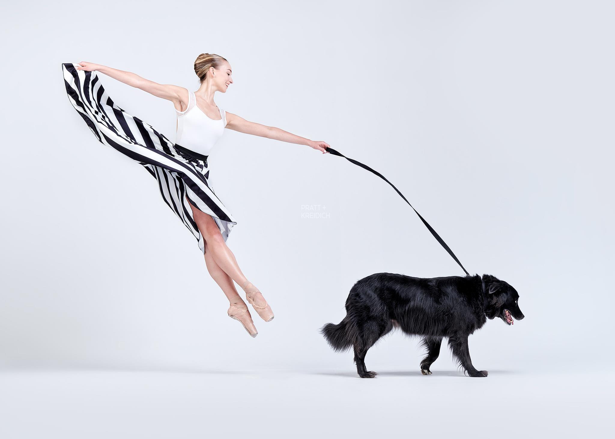 dancers and dogs photo series