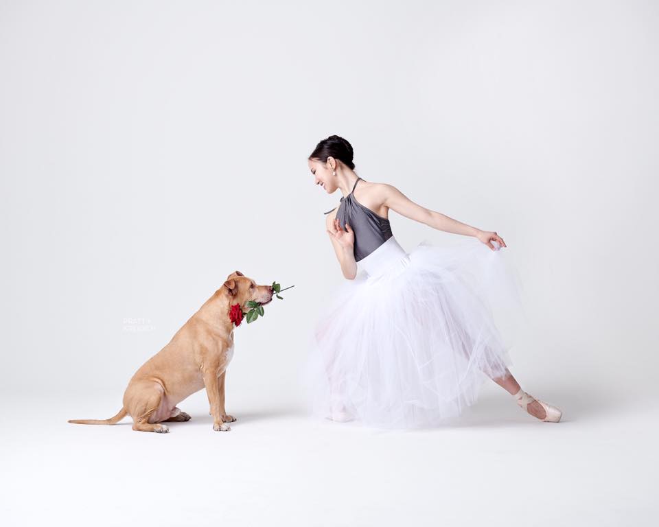 dancers and dogs photo series