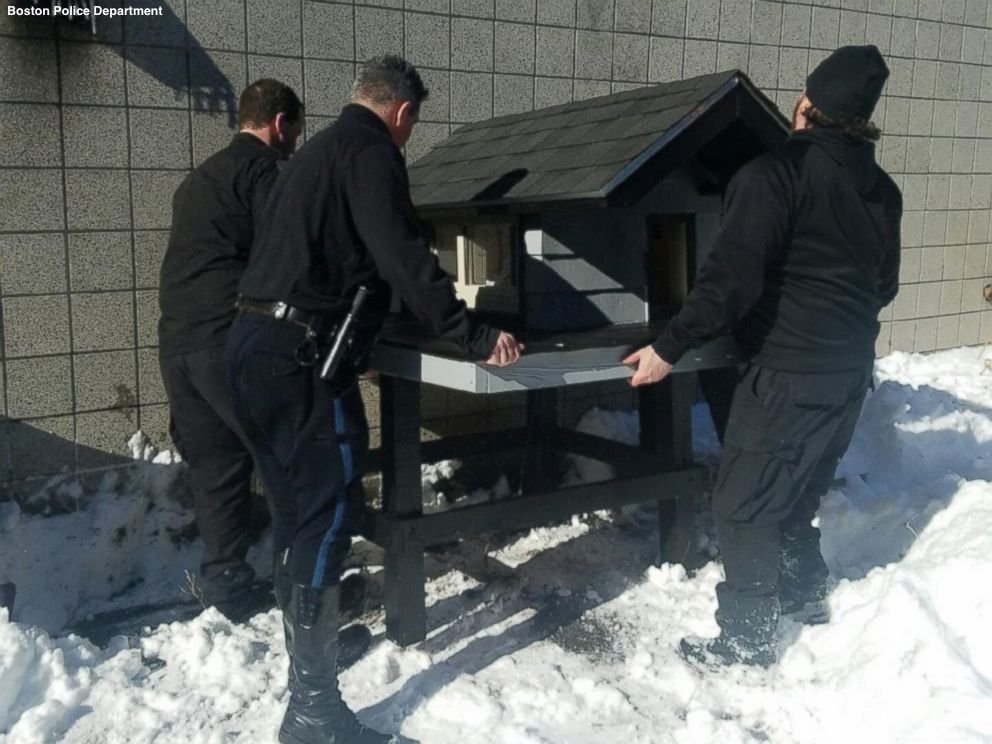 officers set up cat condo