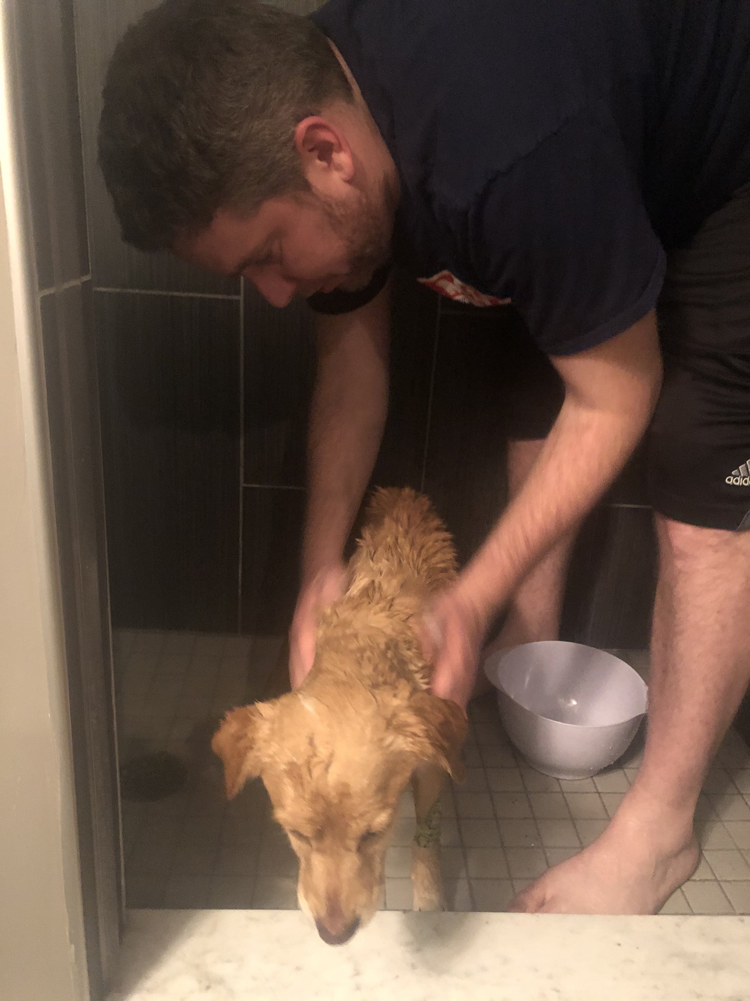 suzy gets flea bath