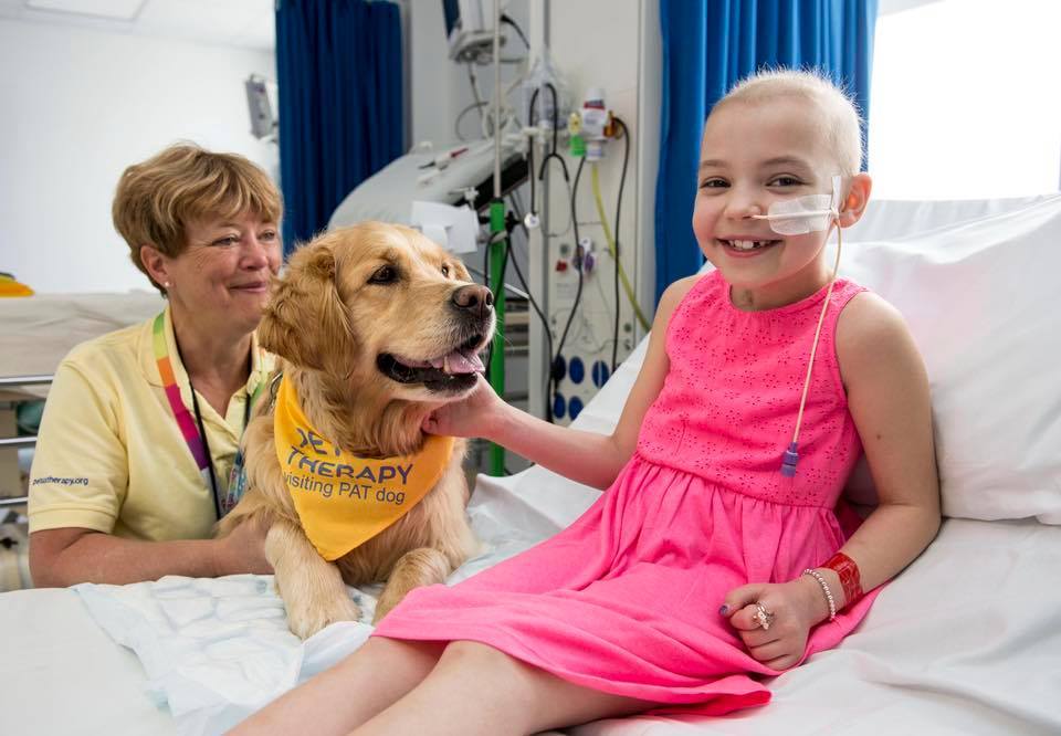 Dog Doctors Help Sick Kids With Scary Medical Procedures. -InspireMore