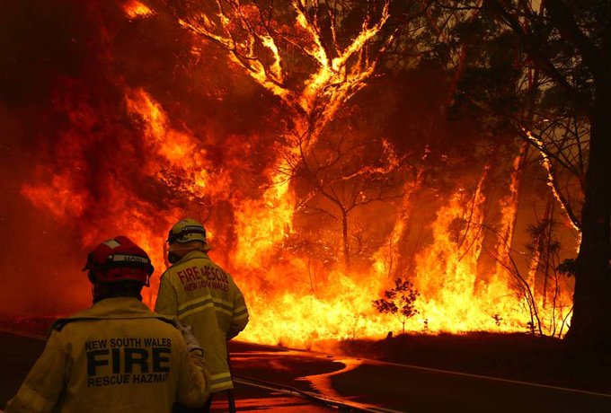 firefighters in australia
