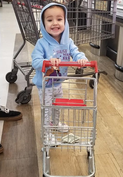 lily belle shopping cart