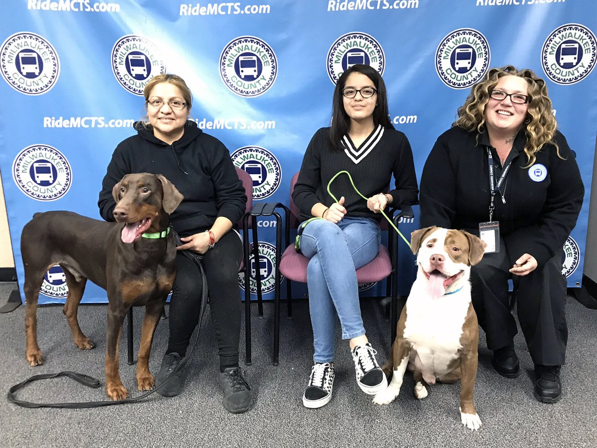 jamie reunites with dogs and family