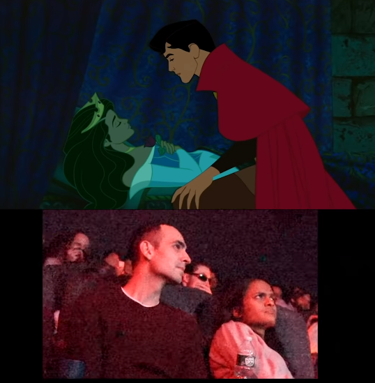 sleeping beauty proposal