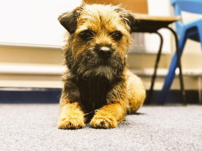 baxter