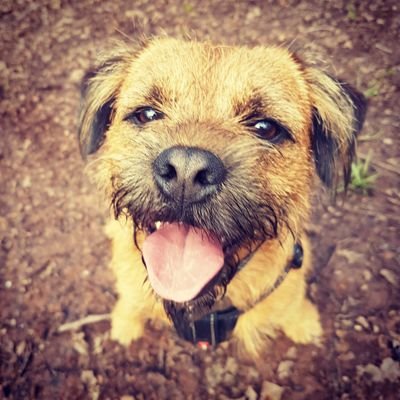 baxter