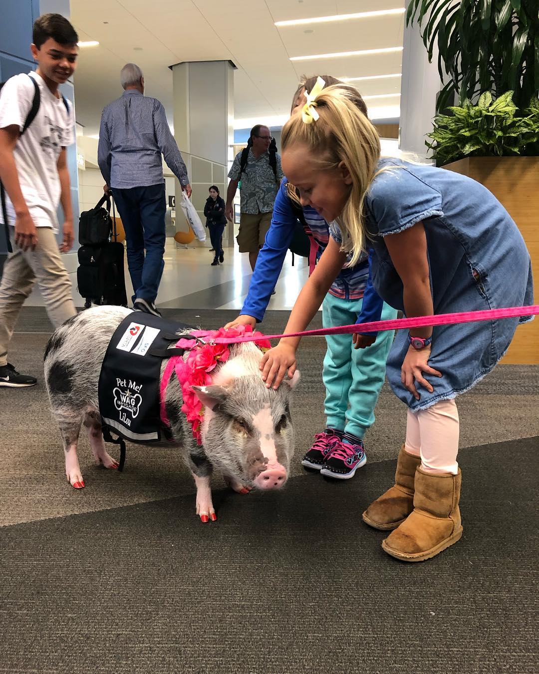 sfo wag brigade pig