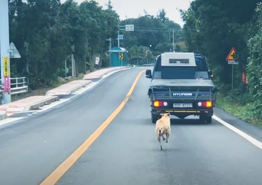 hinsoona chases truck