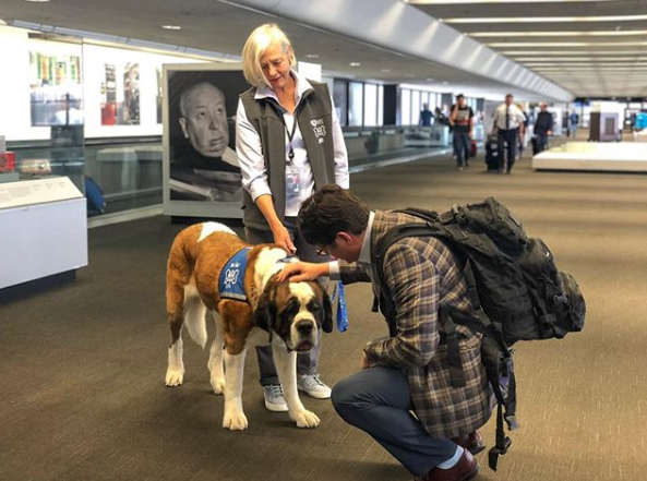 sfo wag brigade dog