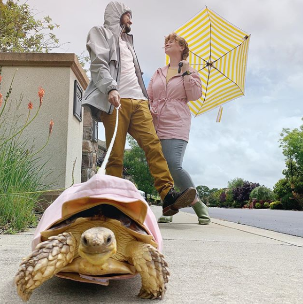 ethel the tortoise matching outfits