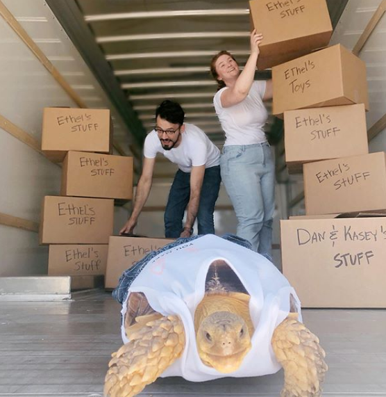 ethel the tortoise matching outfits