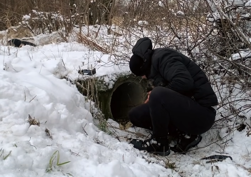 rescuers pull out puppies