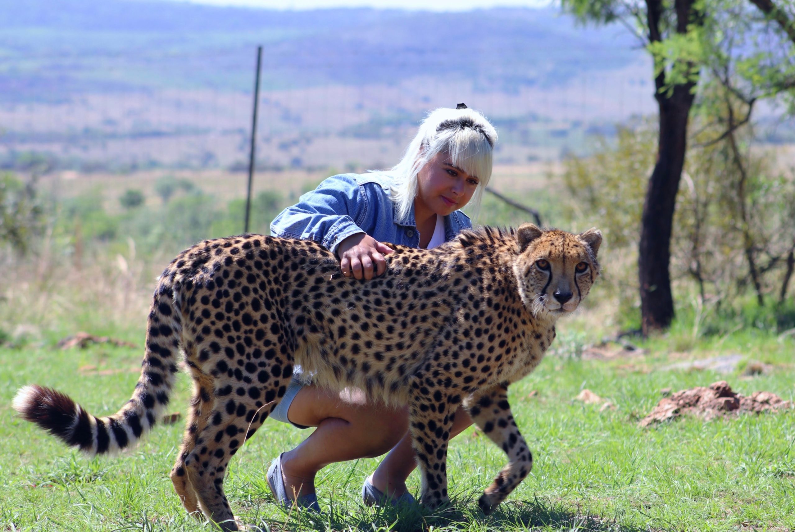 sonia with cheetah