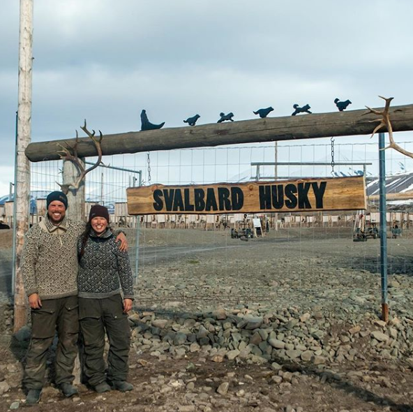 svalbard husky