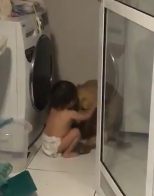 toddler comforts dog