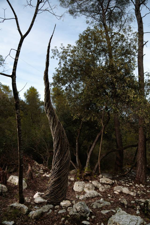 spencer byles forest sculpture