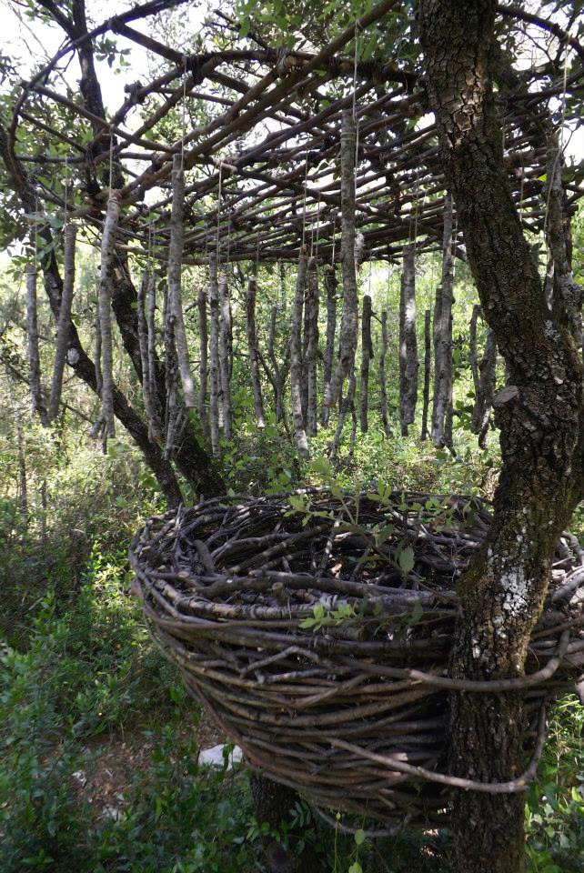 spencer byles forest sculpture