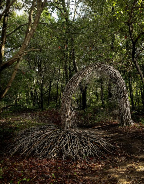 spencer byles forest sculpture