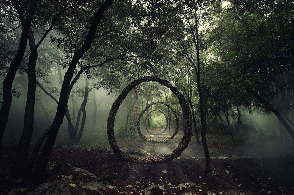 spencer byles forest sculpture