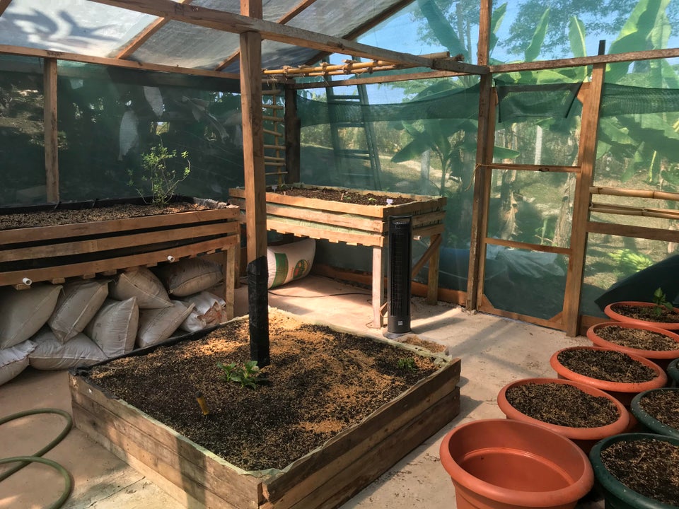 greenhouse
