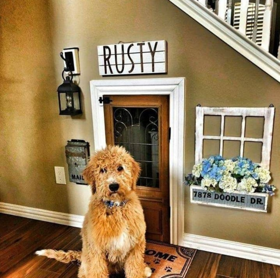 dog house