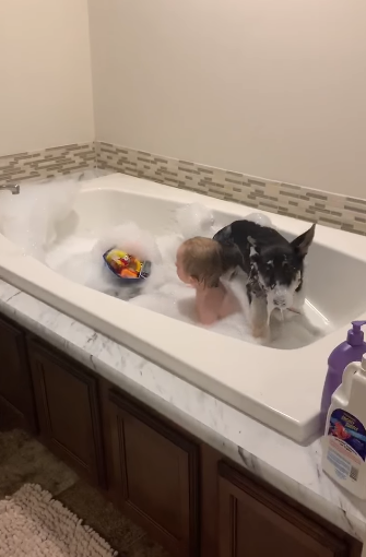 willow adler bath time