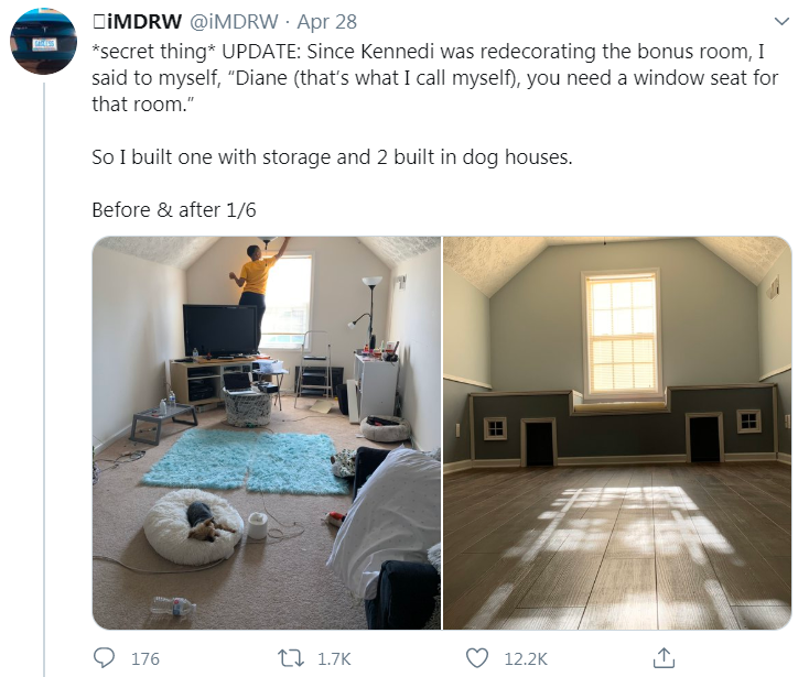 dog house project tweet