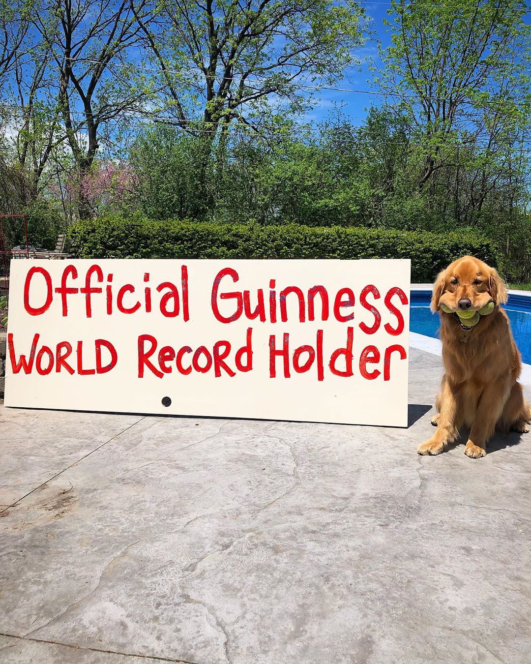finley sets world records