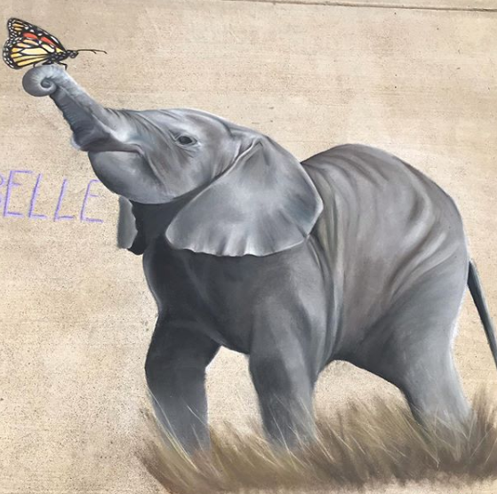 elephant and butterfly