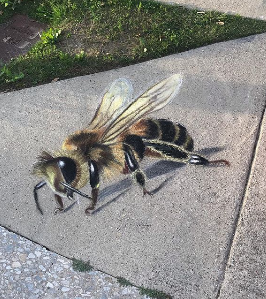 bee