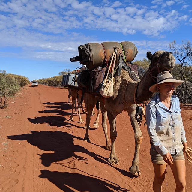 sophie and her camels