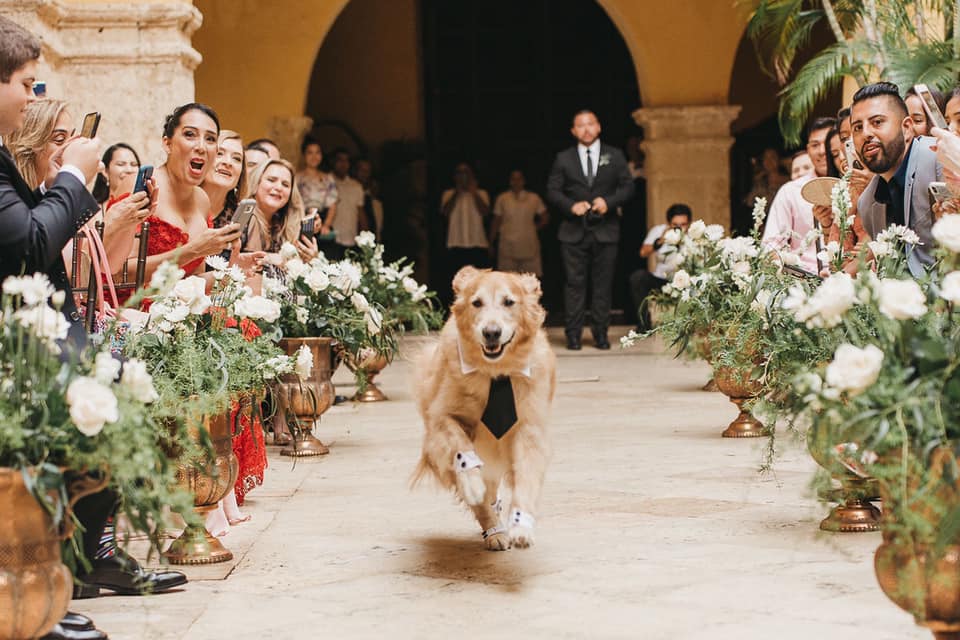 thor runs down wedding aisle