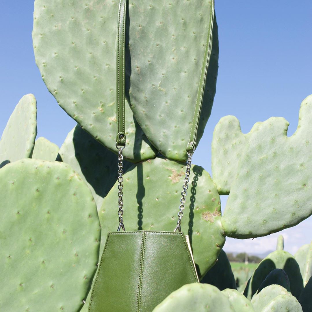 cactus leather purse