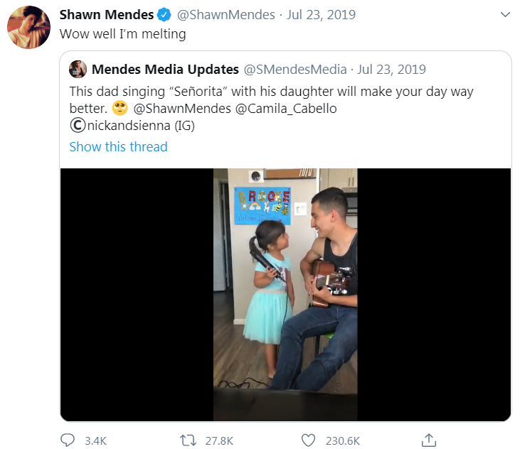 shawn mendes tweet