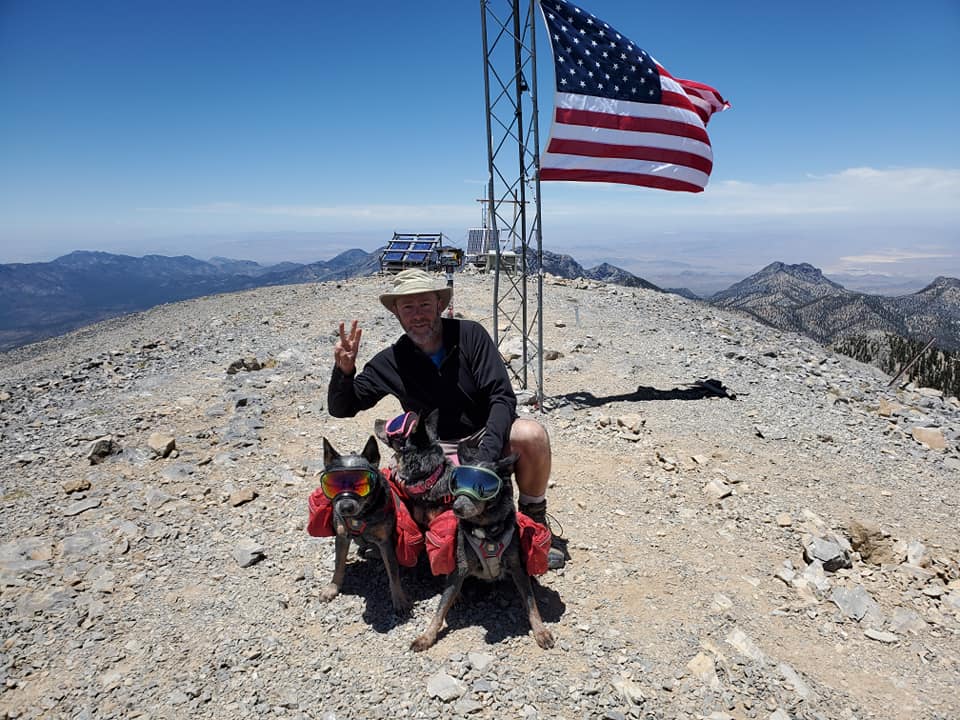 tim with dogs