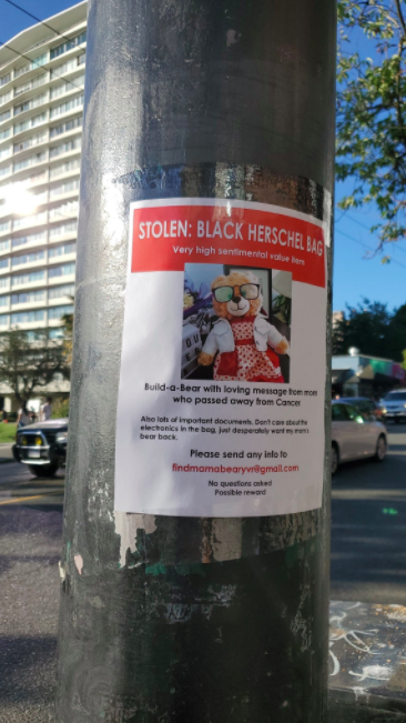 lost bear