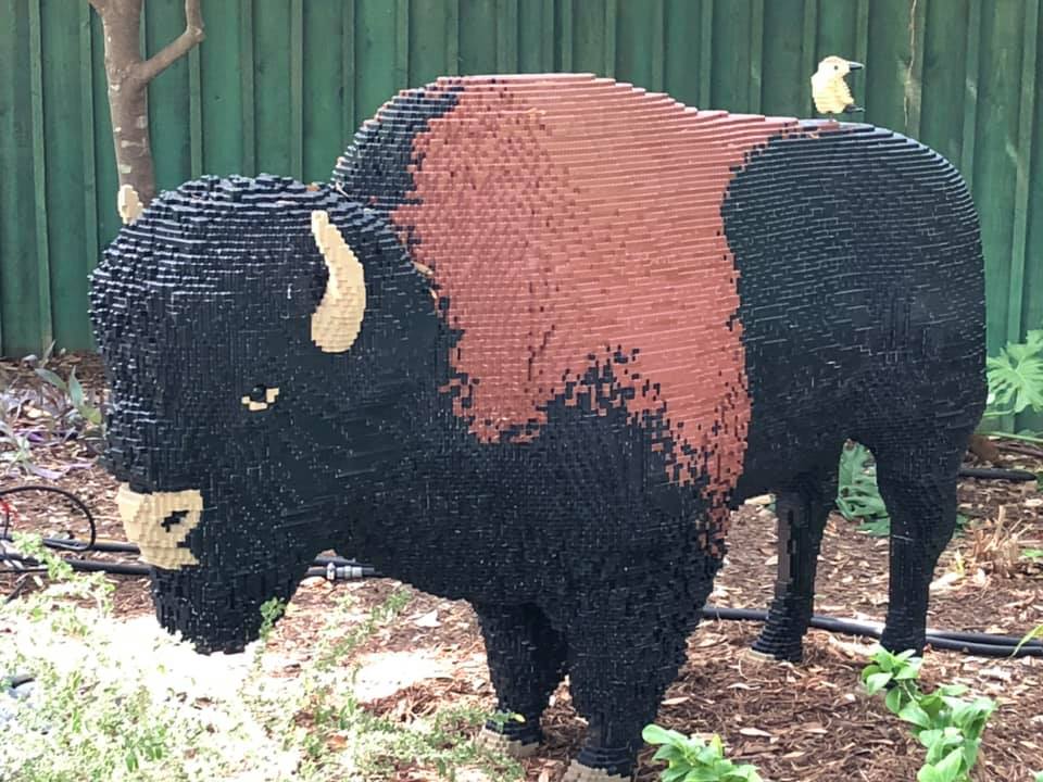 lego buffalo