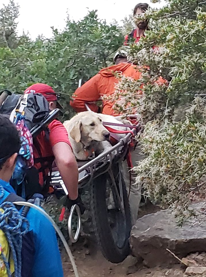 search and rescue carries leo