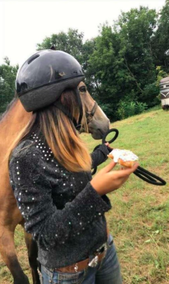 horse face