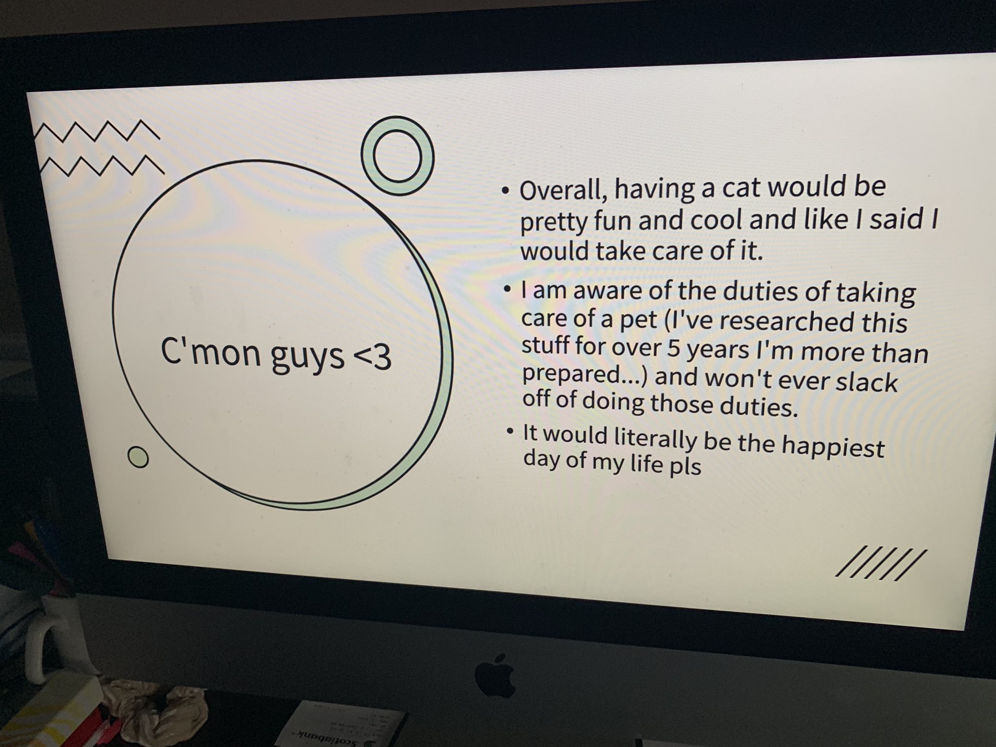 cat powerpoint