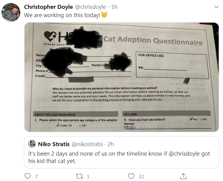 cat adoption tweet
