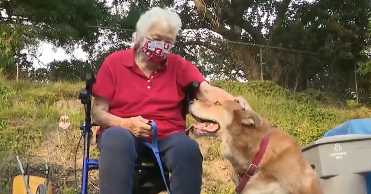 Gwendola Johnson and Sandy the dog