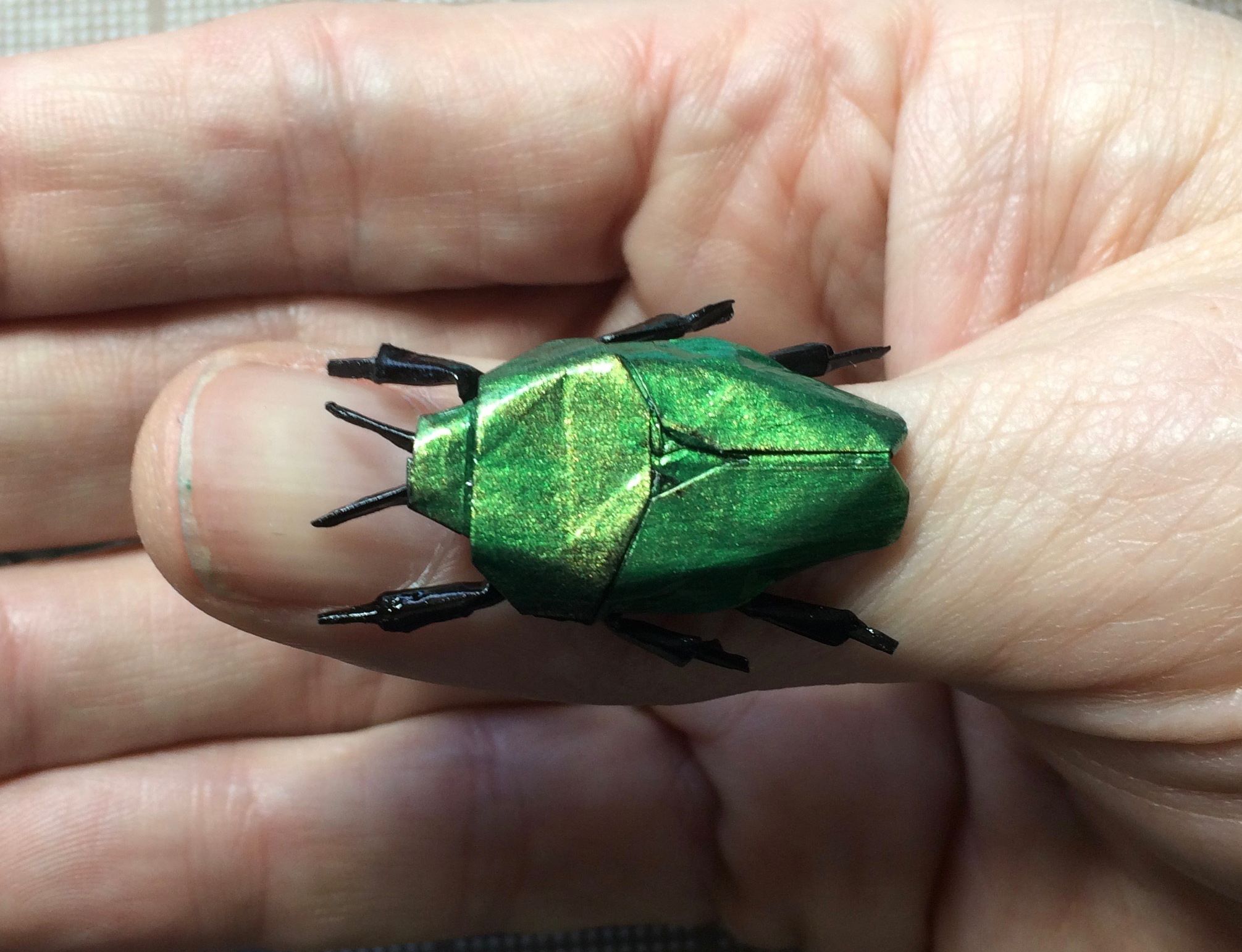 origami beetle
