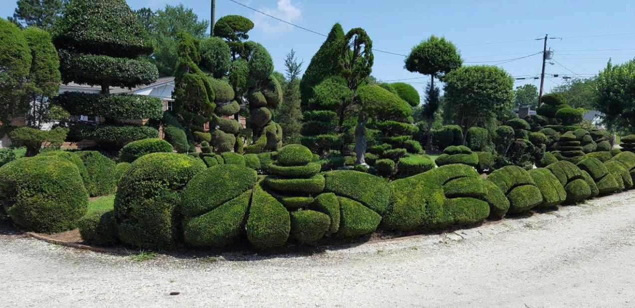 pearl fryar topiary garden